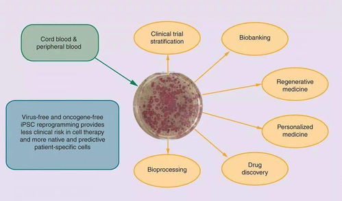 盘点 那些影响脐带血未来的新技术